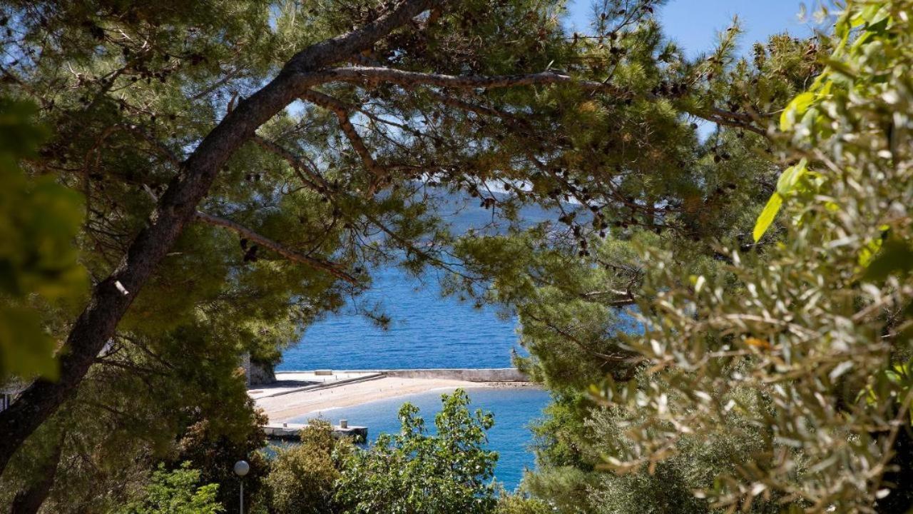 Sea House Pool & Jacuzzi, Bikes, Sup - Privilege Point Camping & Villas Selce Εξωτερικό φωτογραφία